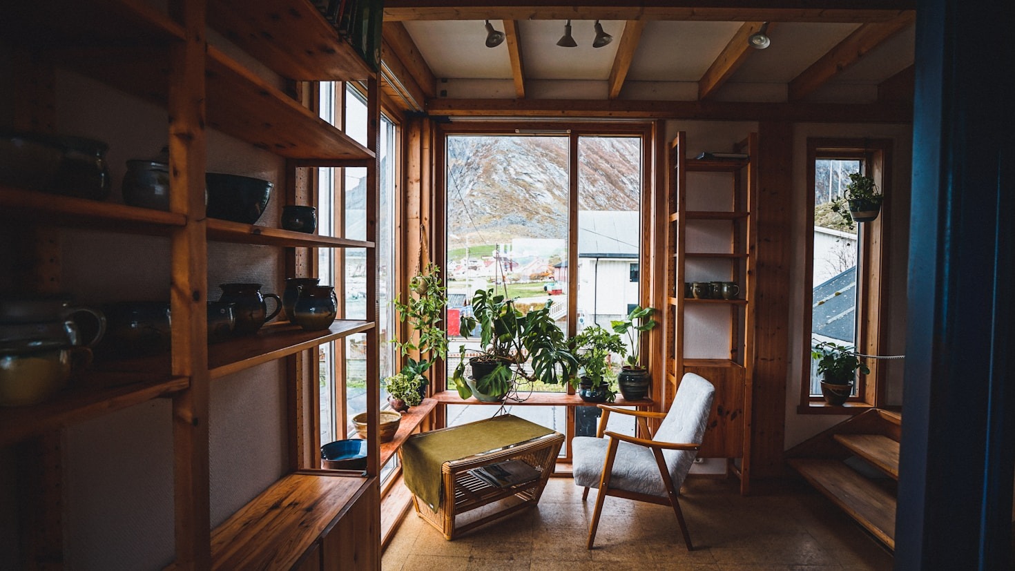 Five Signs Your Houseplant Needs Professional Help